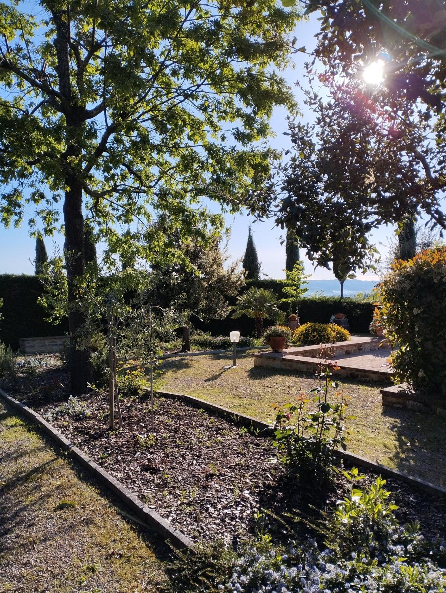 圣吉米纳诺罗卡德格里欧力威住宿加早餐旅馆住宿加早餐旅馆 外观 照片